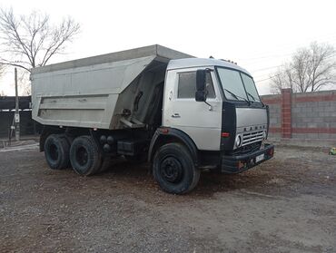 Грузовики: Грузовик, Камаз, Стандарт, Б/у — 10