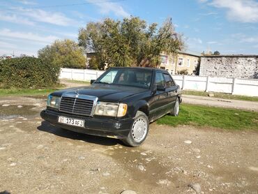 Mercedes-Benz: Mercedes-Benz W124: 1989 г., 2.3 л, Механика, Бензин, Седан