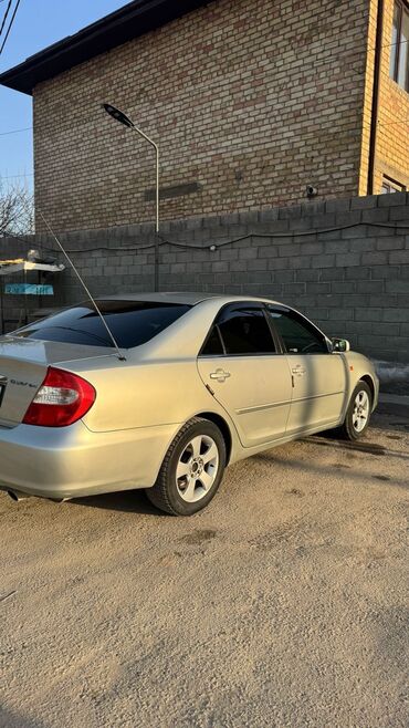 тойота камри 2003 года цена: Toyota Camry: 2003 г., 2.4 л, Автомат, Газ, Седан