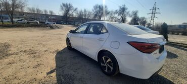 авто в рассрочку без банка без первоначального взноса в бишкеке: Toyota Corolla: 2018 г., 1.8 л, Автомат, Гибрид, Седан