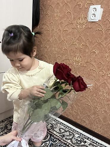 Покраска: Покраска стен, Покраска потолков, Покраска окон, На масляной основе, На водной основе, Больше 6 лет опыта — 27