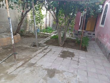 Həyət evləri və villaların satışı: 5 otaqlı, 150 kv. m, Kredit yoxdur, Təmirsiz -da lalafo.az — 11 Həyət evləri və villaların satışı: 5 otaqlı, 150 kv. m, Kredit yoxdur, Təmirsiz — 11