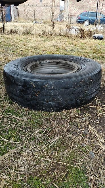 Прицепы и полуприцепы: Прицеп, Самосвал, Б/у — 19