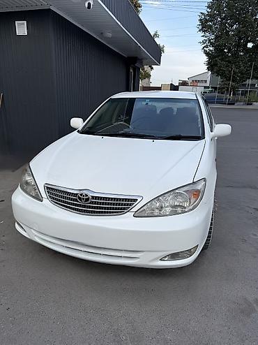 тиков: Toyota Camry: 2002 г., 2.4 л, Автомат, Бензин, Седан — 10