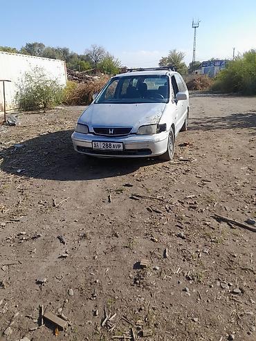 Honda Odyssey: 1999 г., Автомат, Бензин at lalafo.kg Honda Odyssey: 1999 г., Автомат, Бензин