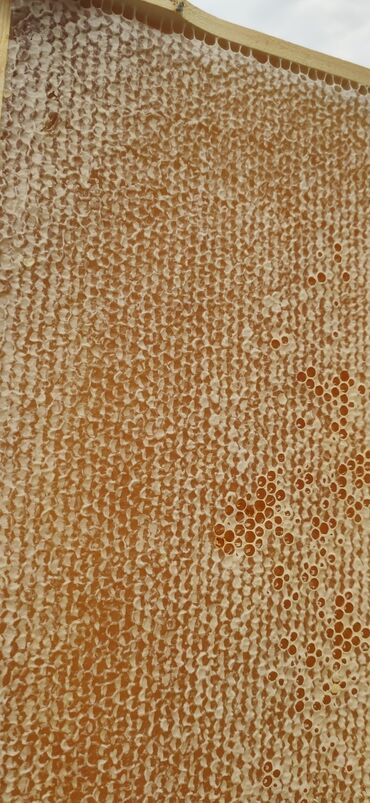 Bal: Elf bee's 1977 eco product for health and longevity tovuzun -da lalafo.az — 4 Bal: Elf bee's 1977 eco product for health and longevity tovuzun — 4