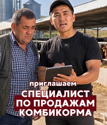 Вакансия: Специалист по продажам комбикорма Локация: Чуйская область
