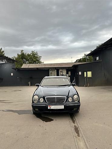daewoo lanos 1: Mercedes-Benz E-Class: 2000 г., 4.3 л, Автомат, Бензин, Седан — 7