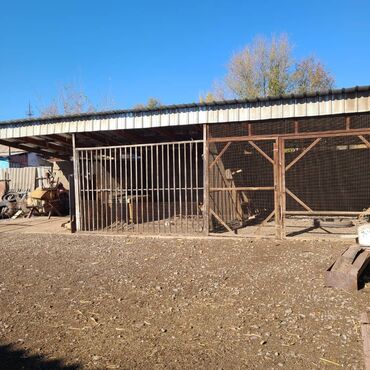 Продажа домов: Дом, 150 м², 5 комнат, Собственник, Евроремонт — 22