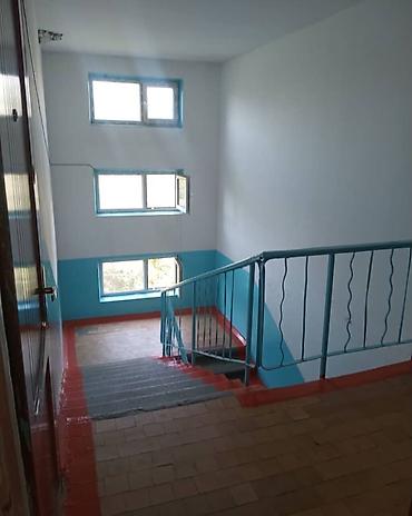 plaza: 2 комнаты, 43 м², Золотой квадрат 104 серия, 5 этаж, Евроремонт — 8