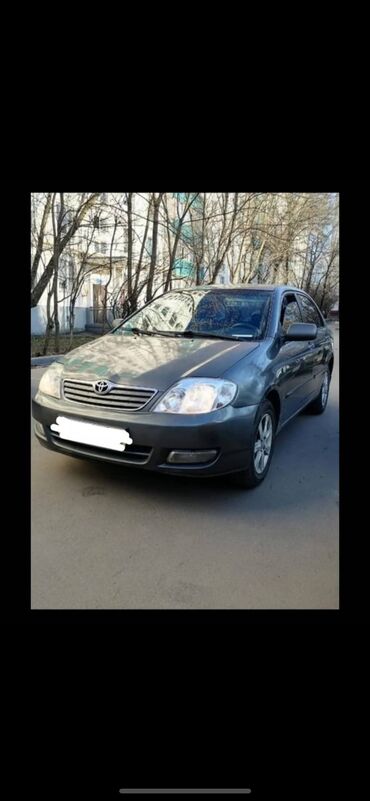 runx alex: Сдаю в аренду Toyota Corolla (механика)2005 в отличном состоянии