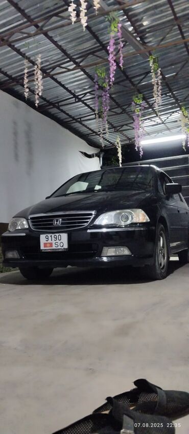 машина адиссей: Honda Odyssey: 2000 г., 3 л, Автомат, Газ, Вэн/Минивэн