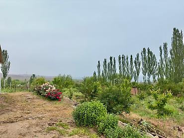 Иссык-Куль 2026: Коттедж, Уют Каджи-Сай, Парковка, стоянка, Охраняемая территория, Барбекю — 12