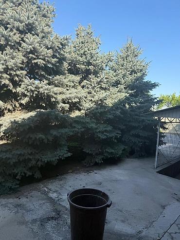 Продажа коттеджей и домов: 5 и более комнат, 340 м², 8 соток, Бишкек, Арча-Бешик ж/м Собственник — 5
