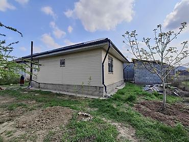 Продажа участков: 4 соток, Красная книга at lalafo.kg — 6 Продажа участков: 4 соток, Красная книга — 6