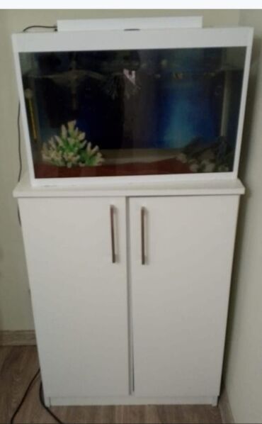 Ağ rəngli, şüşə akvarium şkafı ilə birlikdə cəmi 60 AZN. istəyən yasın