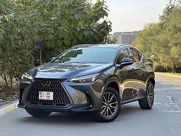 окончательно: Lexus NX: 2022 г., 2.5 л, Автомат, Гибрид, Кроссовер — 1