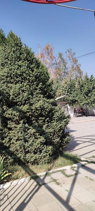 Здание, 2500 м²