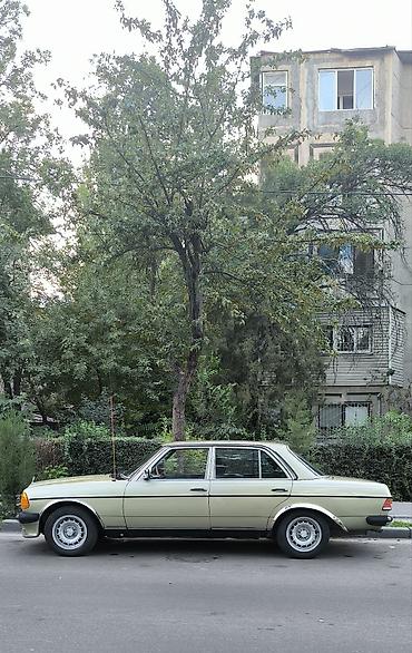 ом 613: Mercedes-Benz W123: 1983 г., 2.4 л, Автомат, Дизель, Седан — 4
