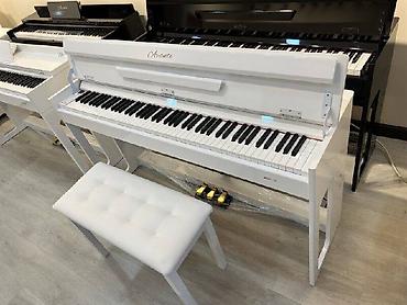 eheim: Piano, Greaten, Rəqəmsal, Yeni, Pulsuz çatdırılma — 7