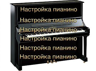 пианина: Настройка пианино Профессиональная настройка акустических пианино на — 1