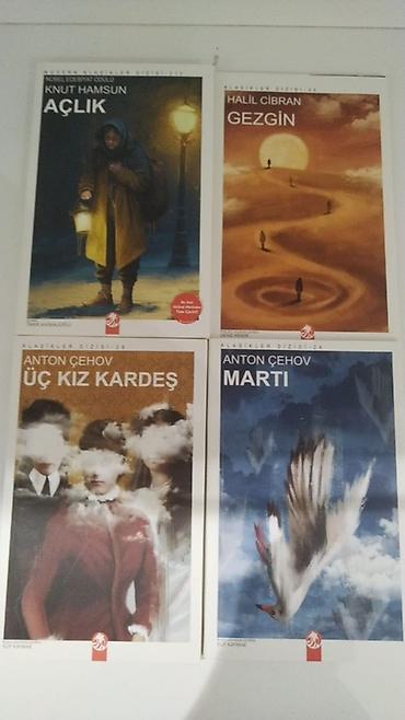Bədii ədəbiyyat: Klassik və modern ədəbiyyatdan seçmə 16 kitabdan ibarətdir, tək-tək və — 5