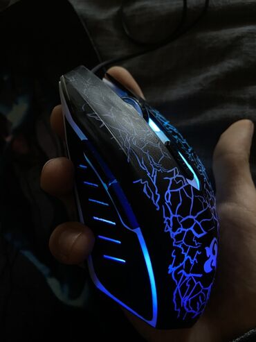 Dell: Yeni Dell Latitude, 14 ", Intel Core i5, 256 GB, Ödənişli çatdırılma — 8