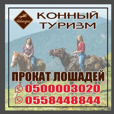 Туристические услуги: Конный Туризм Прокат лошадей обучения верховой езде организация — 3