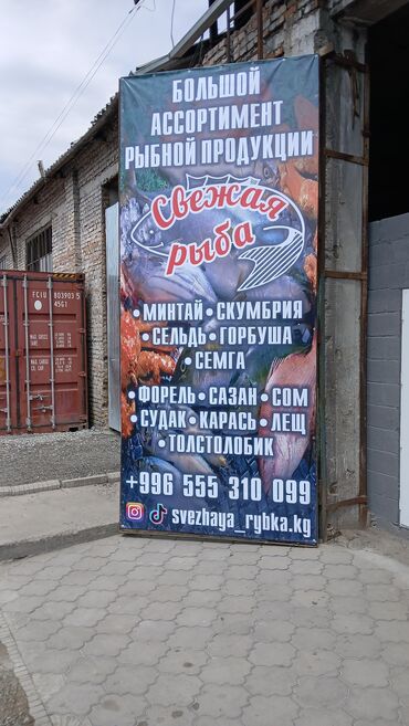 клубника кочот сатылат: Свежий