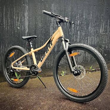 Горные велосипеды: Горный подростковый велосипед Giant XTC 24 2024 Больше велосипедов по