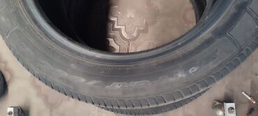 колесо шина: Шины 195 / 55 / R 16, Лето, Б/у, Пара, Легковые, Япония, Dunlop