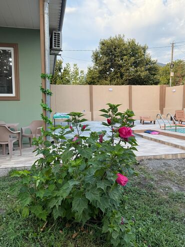 Günlük kirayə evlər: 7000 kv. m, 3 otaqlı, Qaz, İşıq, Su -da lalafo.az — 12 Günlük kirayə evlər: 7000 kv. m, 3 otaqlı, Qaz, İşıq, Su — 12