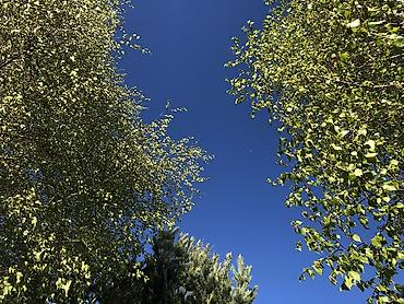 Иссык-Куль 2026: Квартира — 10