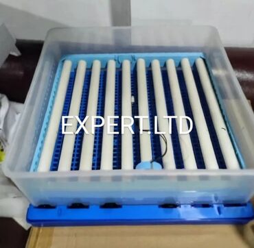 Toyuqlar: Toyuq, Yumurtalıq, Ünvandan götürmə, Ödənişli çatdırılma, Rayonlara çatdırılma — 8