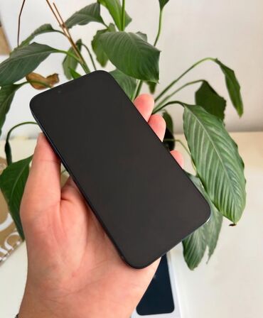 Apple iPhone: IPhone 13, Midnight, Face ID — 7