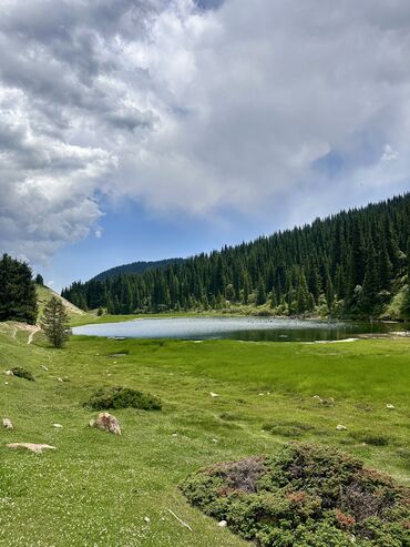 Трансфер, пассажирские перевозки: По региону Такси, легковое авто | 6 мест — 13
