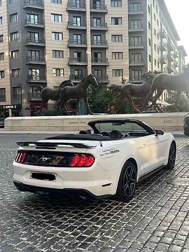 Аренда транспорта: Mercedes — 3