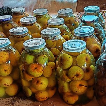 Qida məhsulları: Təbii ev konservləri və bal - Qabıqlı narıncı meyvələrdən hazırlanmış — 5