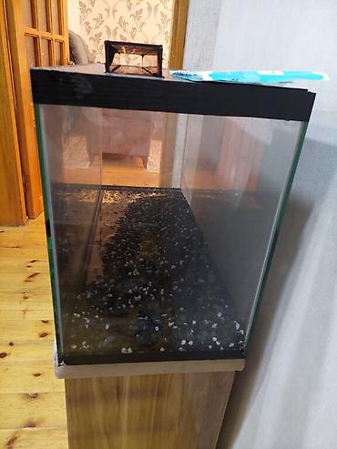 akvarium satisi: Dördbucaq akvarium, Boş, 150 l, Ünvandan götürmə — 5