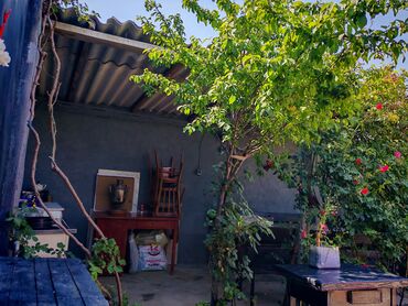 Digər bağ, çöl mebeli: Hövsan Zeytun qesebesi Beton yoluna 5deqiqelik məsafə.Binə və — 3