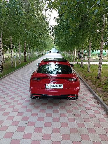 go park: Kia Stinger: 2018 г., 0.2 л, Автомат, Бензин, Лифтбек — 3