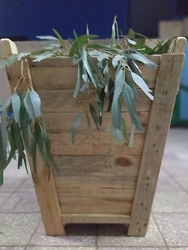 Bitkilər üçün dibçəklər: Ağacdan hazırlanmış dekorativ bitki qabı / bardaq tipli planter. - — 4
