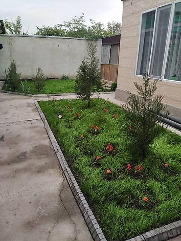 дома бишкек: 5 комнат, 140 м², 4 соток, Бишкек, Церковь Собственник — 6