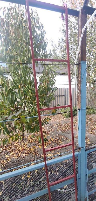 Все для дома и сада: Тепкич. Пожарная лестница. Высота 270. Цельные прутья Металлические — 2