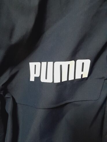 puma куртки: Куртка M (EU 38), цвет - Синий