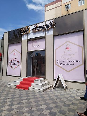 Rulon ştorlar: Zebra və jalüz tipli pərdə modelləri - Klassik naxışlı zebra — 14