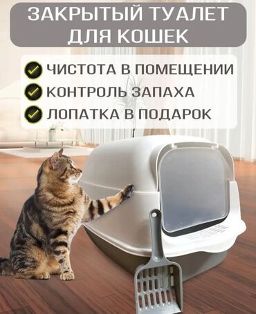 товары для кошек: Закрытый лоток для ваших питомцев 👍 подходит и для кошек и для собак