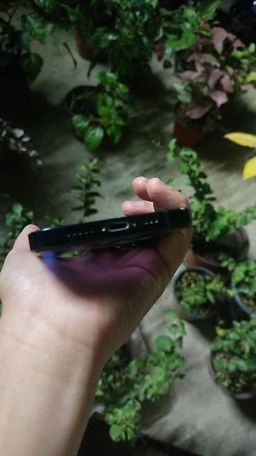 кел кел: IPhone 13, Колдонулган, 128 ГБ, Көк, Коргоочу айнек, Каптама, 81 % — 3