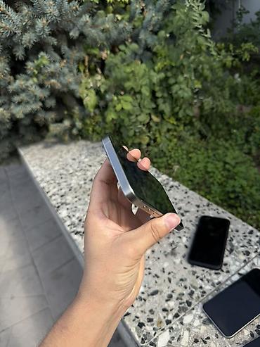 Apple iPhone: IPhone 14 Pro Max, цвет Silver (серебристый) - Корпус из матового — 6