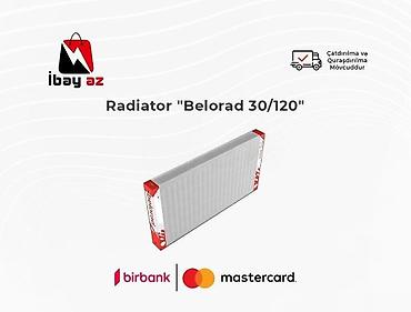 belorad: Radiator "Belorad 30/120"Radiator Belorad 30/120 Təsvir : Korpusun — 1